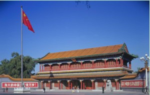 中南?；顒又行? /></a><p><a href=